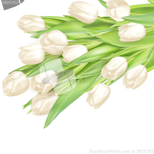 Image of Bouquet of white tulips. EPS 10