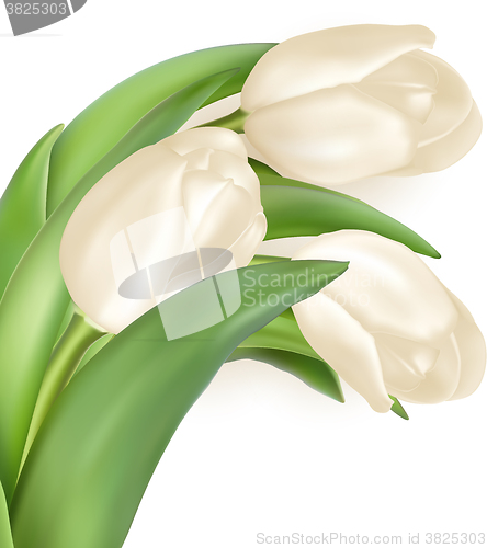 Image of Tulips decorative background. EPS 10