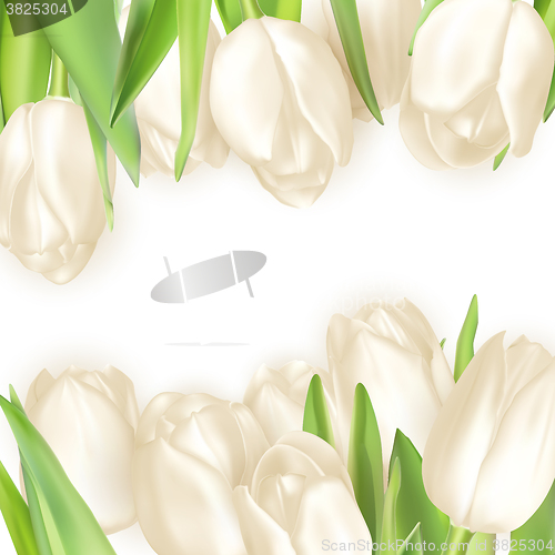 Image of Bouquet of white tulips. EPS 10