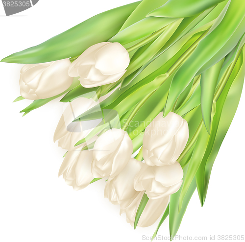 Image of Bouquet of white tulips. EPS 10