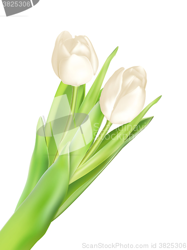 Image of Tulips decorative background. EPS 10