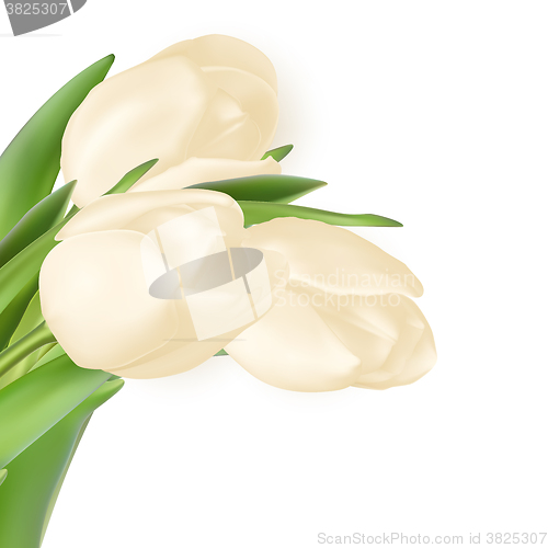 Image of Tulips decorative background. EPS 10