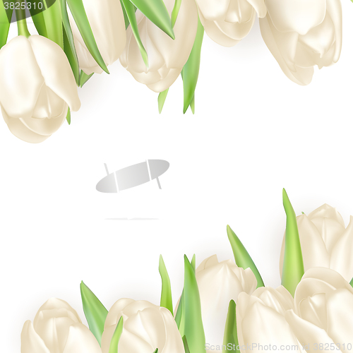 Image of Bouquet of white tulips. EPS 10
