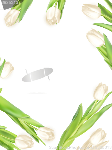 Image of Bouquet of white tulips. EPS 10