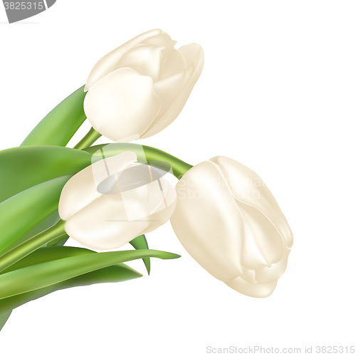 Image of Tulips decorative background. EPS 10