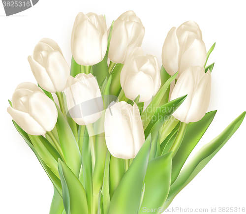 Image of Bouquet of white tulips. EPS 10