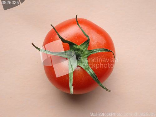 Image of Red tomato vegetables