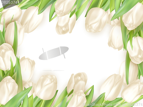 Image of Tulips decorative background. EPS 10