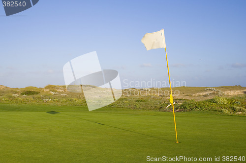Image of Green in a golf course