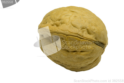 Image of isolated walnut