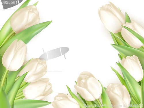 Image of Bouquet of white tulips. EPS 10