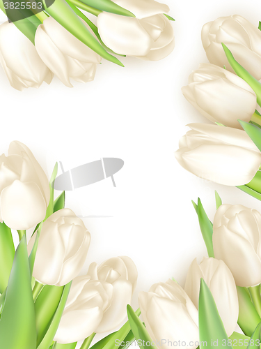 Image of Isolated tulip frame. EPS 10