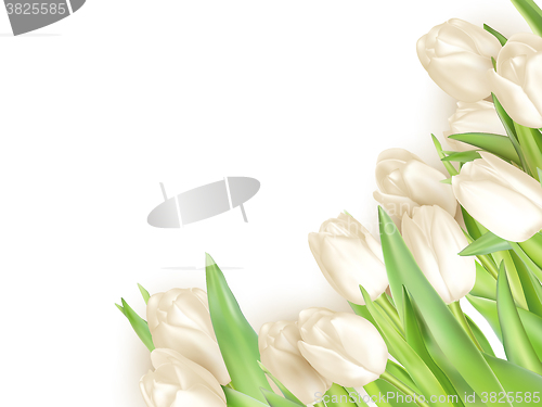 Image of Tulips decorative background. EPS 10