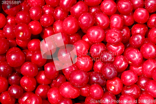 Image of red ripe cherry