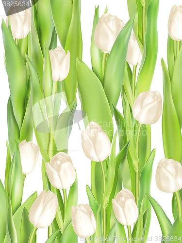 Image of Tulips decorative background. EPS 10