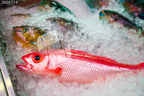 Image of Fresh fish in wet market