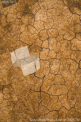 Image of Mud cracked