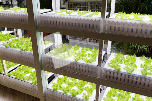 Image of Hydroponics rack