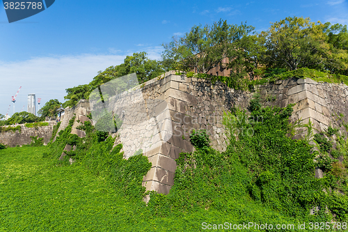 Image of Turret of the osaka castle with alga