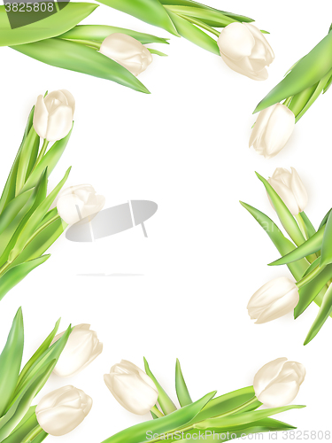 Image of Isolated tulip frame. EPS 10