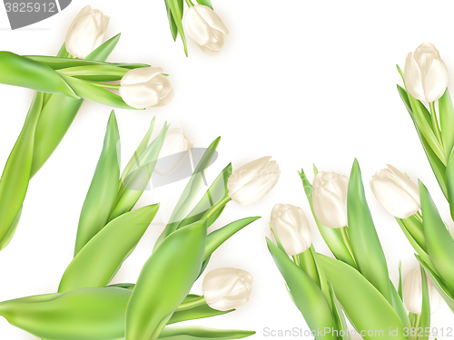 Image of Bouquet of white tulips. EPS 10