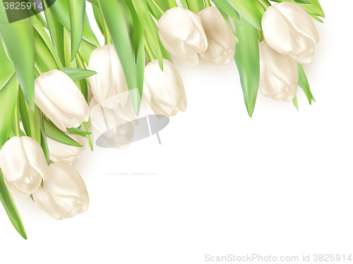 Image of Tulips decorative background. EPS 10