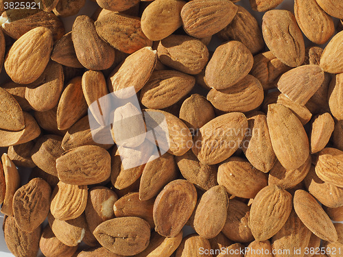 Image of Almonds dried fruit