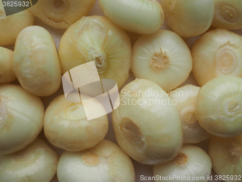 Image of Onions vegetables