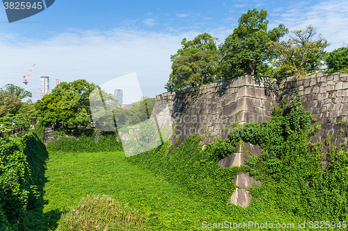 Image of Osaka castle wall