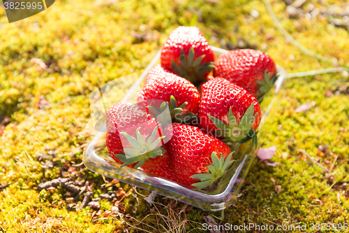 Image of Strawberry in package