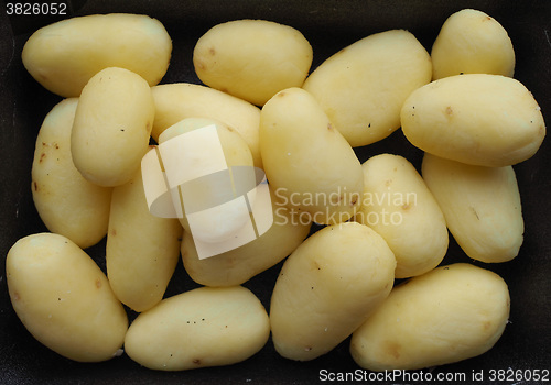 Image of Potato vegetables in a tub