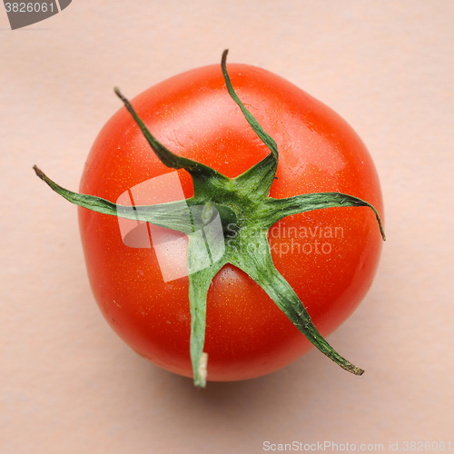 Image of Red tomato vegetables