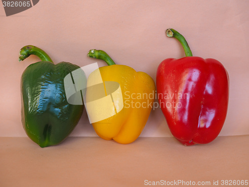 Image of Yellow Green and Red Peppers vegetables