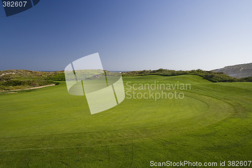 Image of Green in a golf course