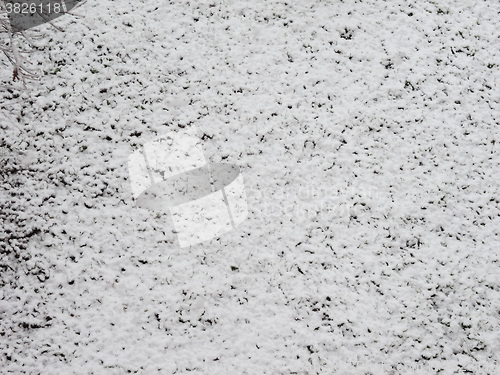 Image of Snow on meadow