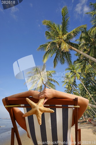 Image of Sunbathing Tropical Style