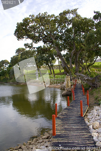 Image of The path by the lake