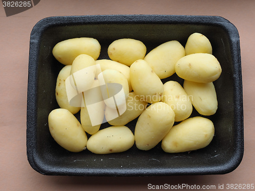 Image of Potato vegetables in a tub