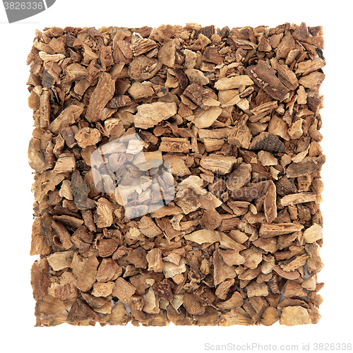 Image of Gentian Root Herb