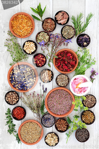 Image of Natural Herbal Medicine