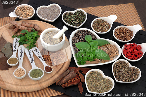 Image of Natural Alternative Medicine