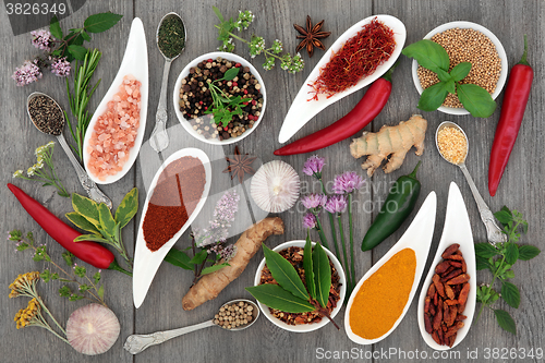 Image of Food Seasoning with Herbs and Spices