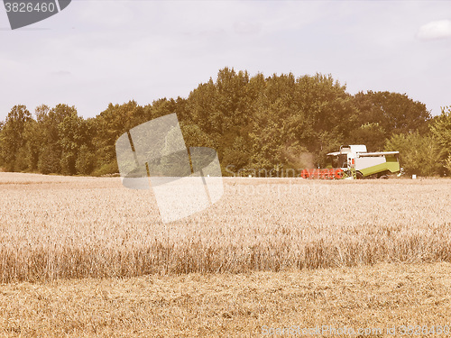 Image of  Harvest vintage