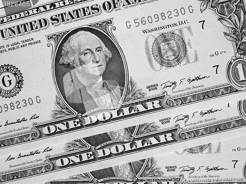 Image of Black and white Dollar notes 1 Dollar