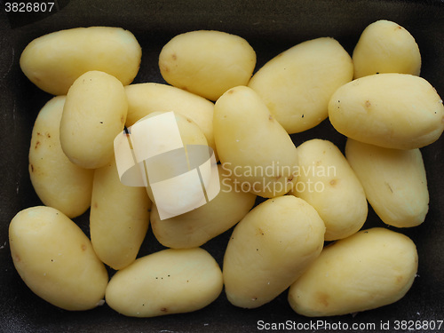 Image of Potato vegetables in a tub
