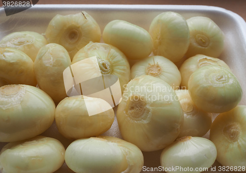 Image of Onions vegetables