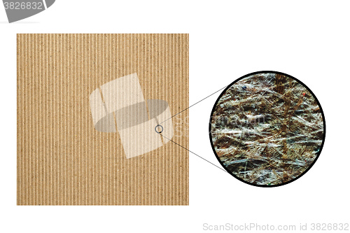Image of Recycled cardboard seen with microscope