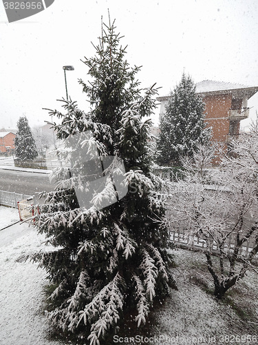 Image of Winter scene with snow