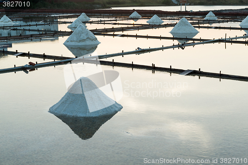 Image of Row of salt piles to be harvested