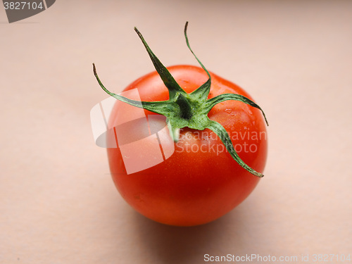 Image of Red tomato vegetables